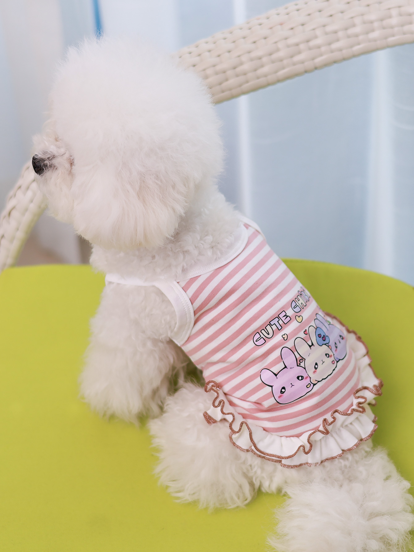 Summer Clothing Material - 개 조끼, 여름 통기성 얇은 소재